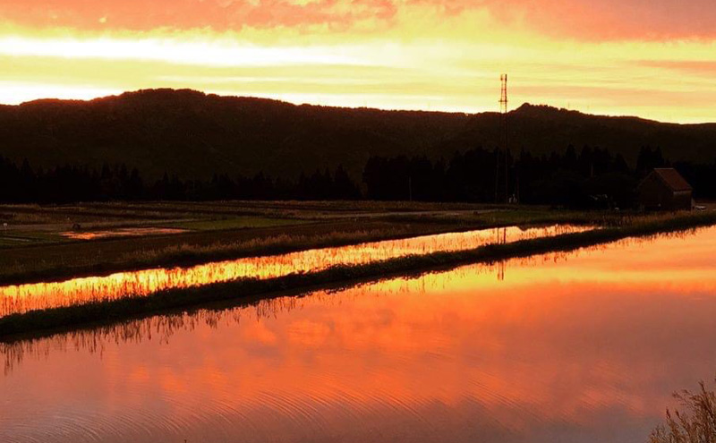 魚沼産特別栽培米コシヒカリ［清津の恵］精米5kg全3回