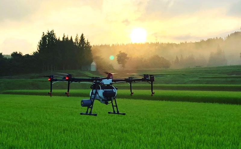 魚沼産特別栽培米コシヒカリ［清津の恵］精米5kg全3回