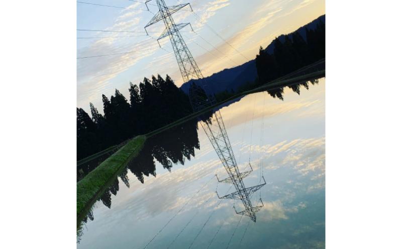 【通年受付】令和７年産【１０月発送開始！】魚沼産特別栽培米コシヒカリ［清津の恵］精米5kg　全3回 十日町市 十日町 米