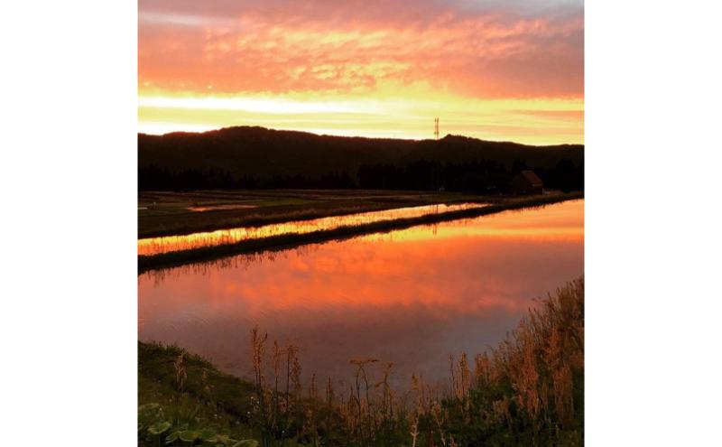 【通年受付】令和７年産【１０月発送開始！】魚沼産特別栽培米コシヒカリ［清津の恵］精米10kg（5kgx２袋）全12回 十日町市 十日町 米