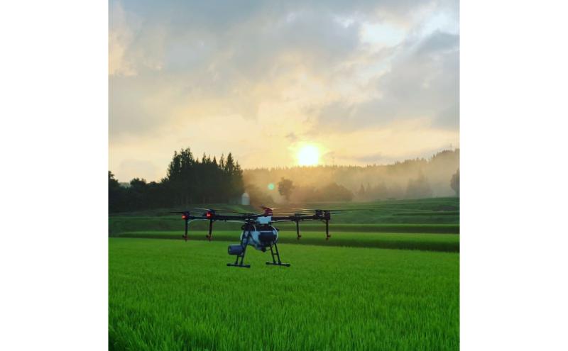 【通年受付】令和７年産【１０月発送開始！】魚沼産特別栽培米コシヒカリ［清津の恵］精米10kg（5kgx２袋）全12回 十日町市 十日町 米