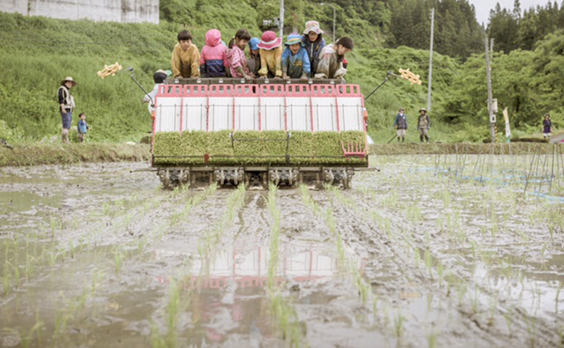 【数量限定！】あま！うま！ミネラル栽培の魚沼産従来コシヒカリ精米10kg (5kg×2袋)