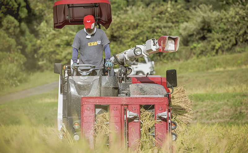 【数量限定！】あま！うま！ミネラル栽培の魚沼産従来コシヒカリ精米10kg (5kg×2袋)