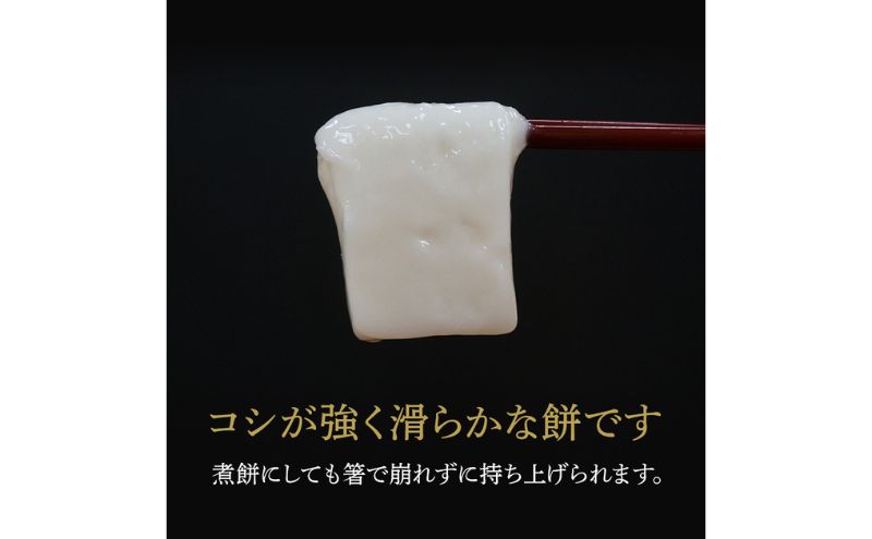 【贈答用】魚沼産こがねもち100％使用 令和7年産 越路餅500g3種 3点セット（包装付） モチ 詰め合わせ ギフト プレゼント 新潟