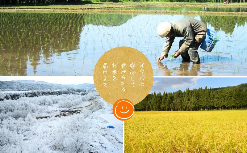 【令和7年産】魚沼産コシヒカリかも米(玄米)5kg　※栽培期間中農薬不使用 米 お米 こしひかり 玄米 かも米 中魚沼 新潟県 十日町市