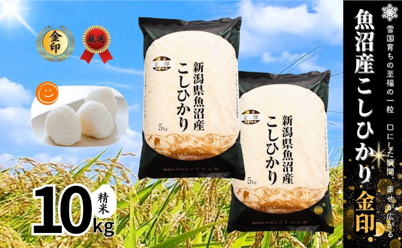 令和6年産 魚沼産こしひかり 精米 10kg 令和6年度産 魚沼産コシヒカリ | 精米のみ 10kg