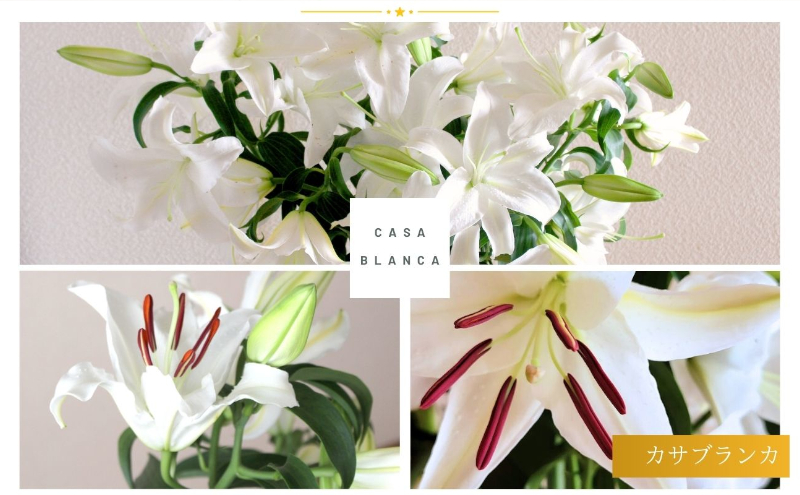 ユリの女王 カサブランカ6本束(正規品3本・規格外品3本) 花 お花 規格外 花束 切り花 新潟県 十日町市