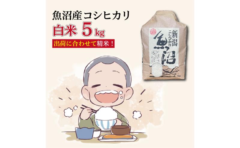 令和7年産 魚沼産コシヒカリ[精米]5kg