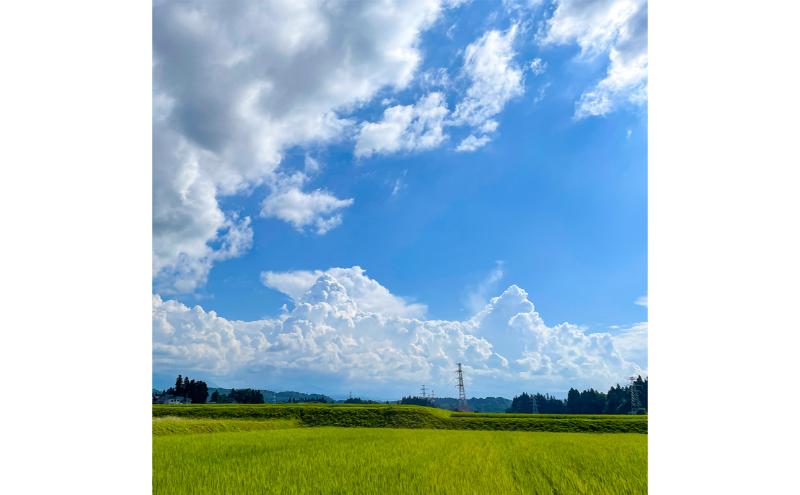 令和7年産 魚沼産コシヒカリ【精米】5kg