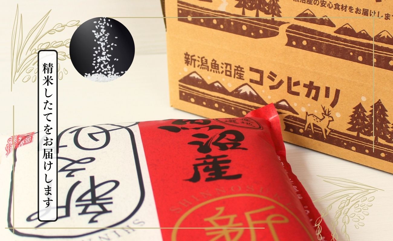 【令和7年産】魚沼産新之助(精米)5kg 米 お米 精米 しんのすけ 中魚沼 新潟県 十日町市