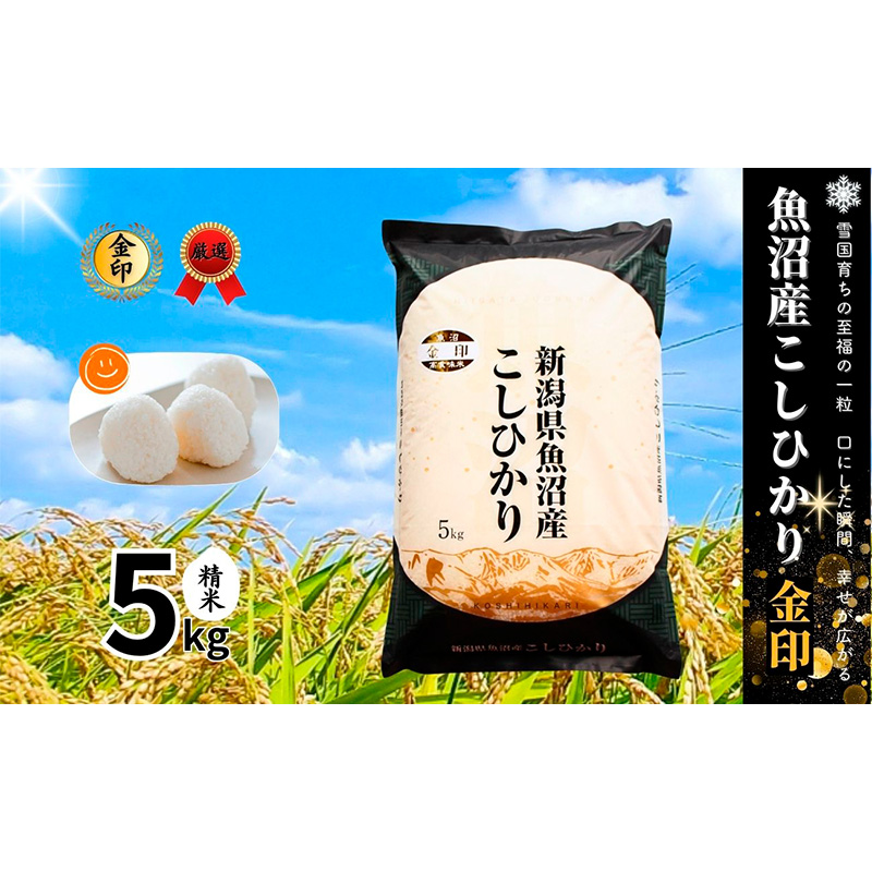 令和6年産 魚沼産 コシヒカリ 10kg 米 こしひかり お米 コメ