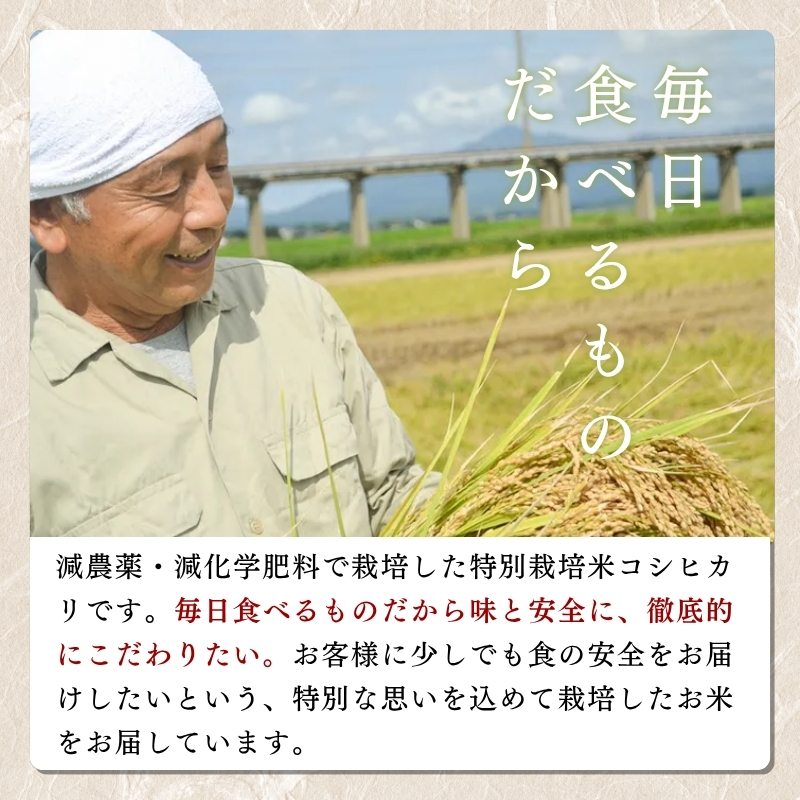 お米 新潟県上越産 特別栽培米 コシヒカリ 5kg 令和7年産 こしひかり 米 こめ おすすめ ふるさと納税 新潟 新潟県産 にいがた 上越 上越産