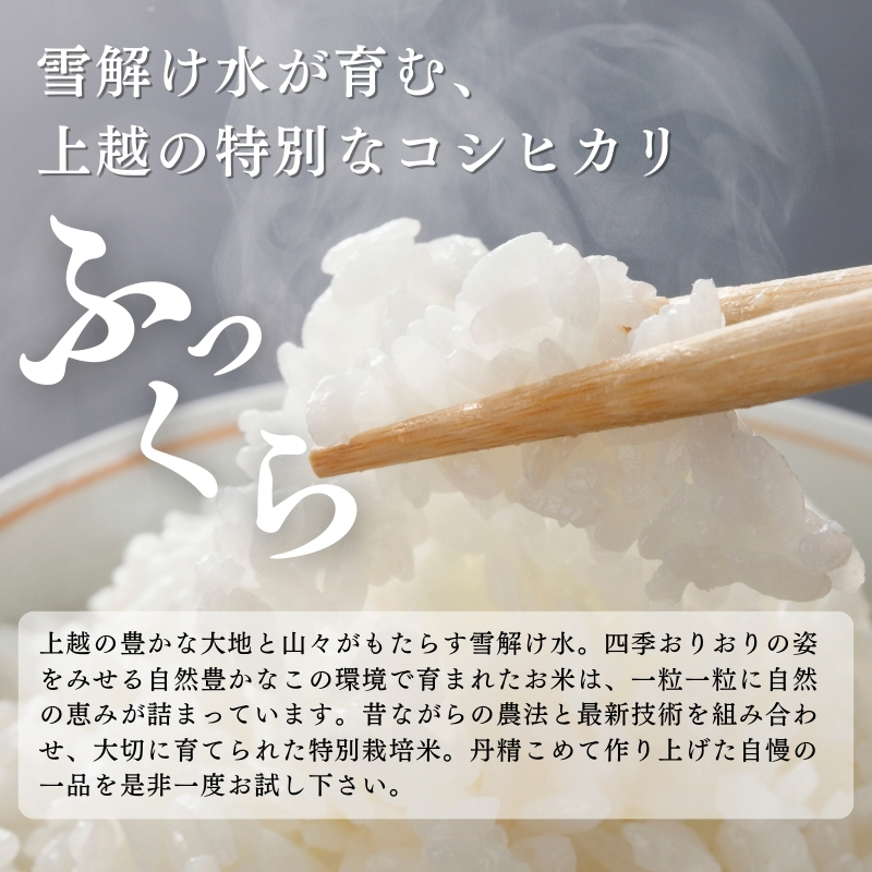 令和7年産 米 特別栽培米 コシヒカリ (白米) 5kg 5キロ 棚田米 どぶろく荘 こしひかり お米 コメ 送料無料