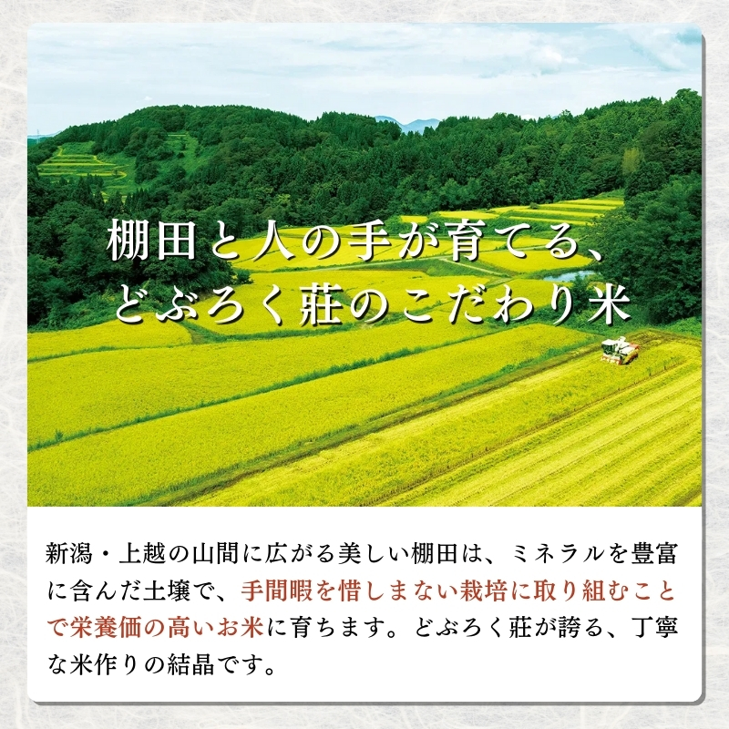 令和7年産 米 特別栽培米 コシヒカリ (白米) 5kg 5キロ 棚田米 どぶろく荘 こしひかり お米 コメ 送料無料