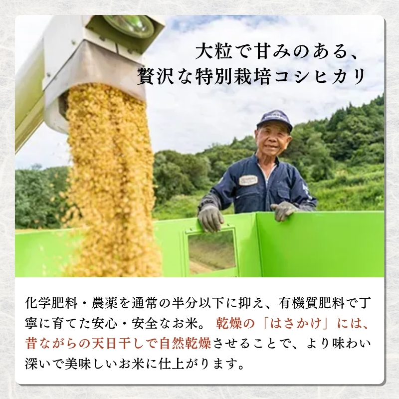 令和7年産 米 特別栽培米 コシヒカリ (白米) 5kg 5キロ 棚田米 どぶろく荘 こしひかり お米 コメ 送料無料