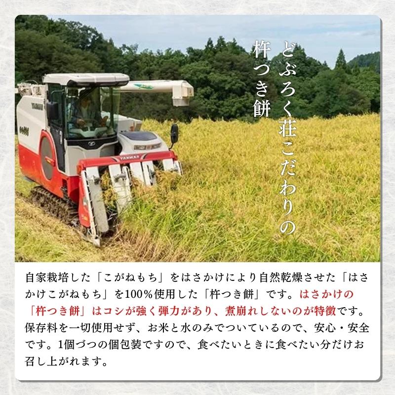 餅 天日干し 「杵つき餅」（10個入り）×5袋 もち お餅