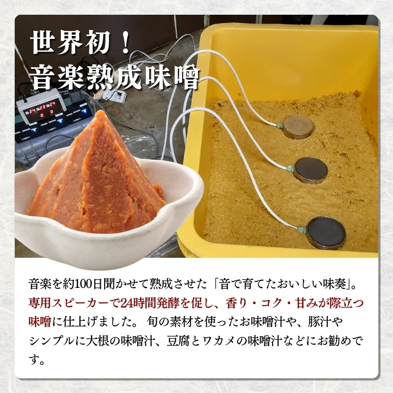味噌 音で育てたおいしい味奏 500g×2 みそ