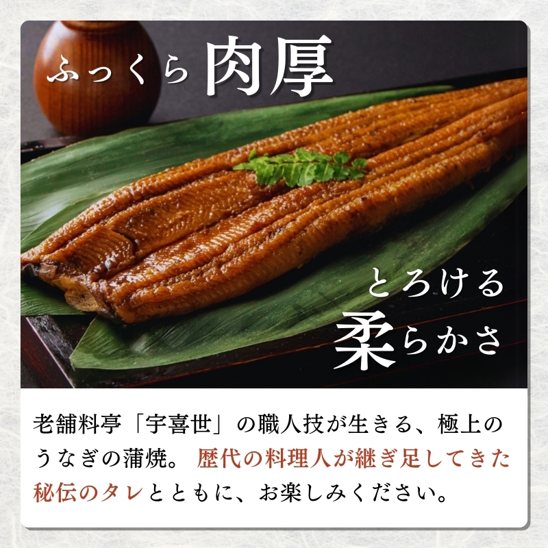 うなぎ 【老舗料亭の味】職人が焼いたうなぎ蒲焼き(150g×1尾)百年料亭 宇喜世名物 鰻 蒲焼き かば焼き
