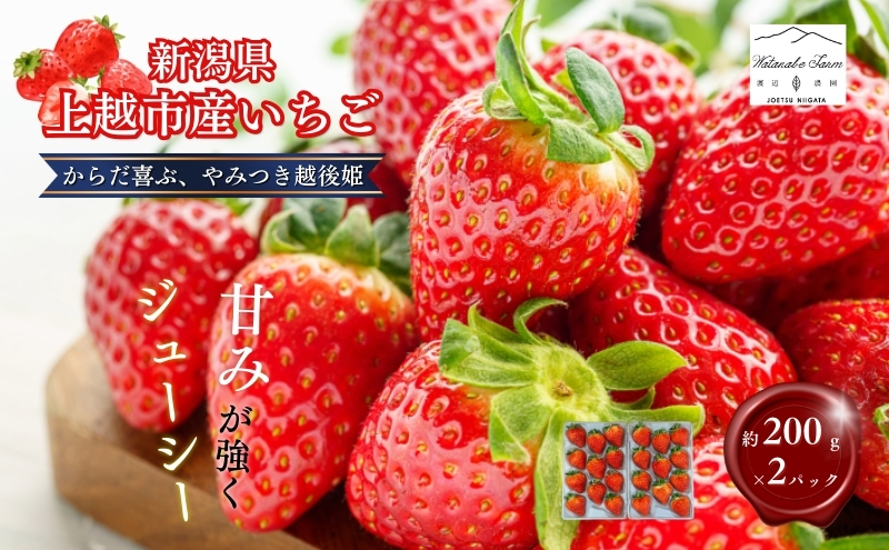 【先行予約 | 2026年2月上旬より出荷開始】いちご 中粒 カラダよろこぶ やみつき 越後姫 約200g×2パック (18～30粒入り) イチゴ 苺 上越市 新潟