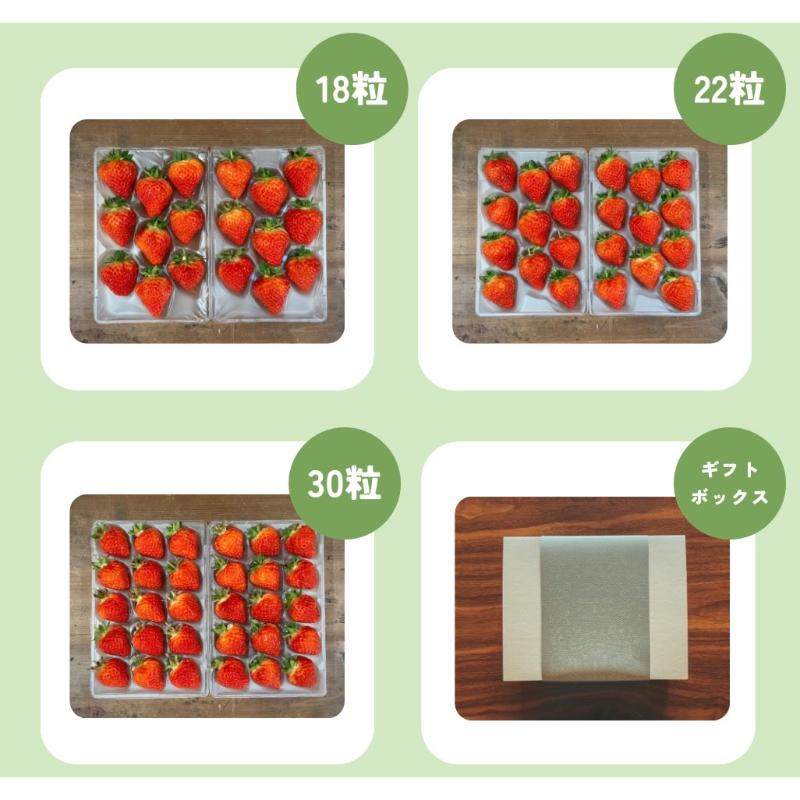 【先行予約 | 2026年2月上旬より出荷開始】いちご 中粒 カラダよろこぶ やみつき 越後姫 約200g×2パック (18～30粒入り) イチゴ 苺 上越市 新潟