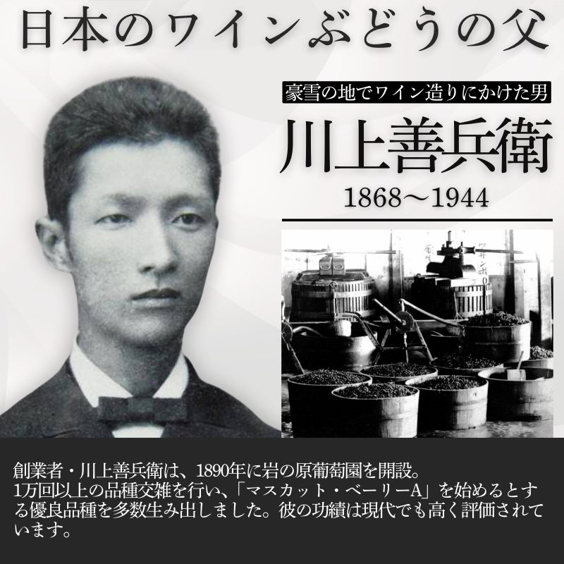 ワイン 岩の原ワイン 善 辛口・甘口5本セット（辛口赤・白・ロゼ、甘口赤・白 各1本 各720ml） 酒 上越