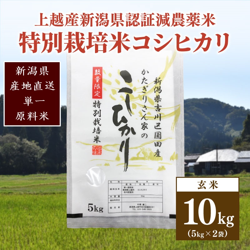 米 お米 数量限定 令和5年産 新潟県上越市吉川区国田産 新潟県認証米/特別栽培米コシヒカリ玄米10kg 5kg×2