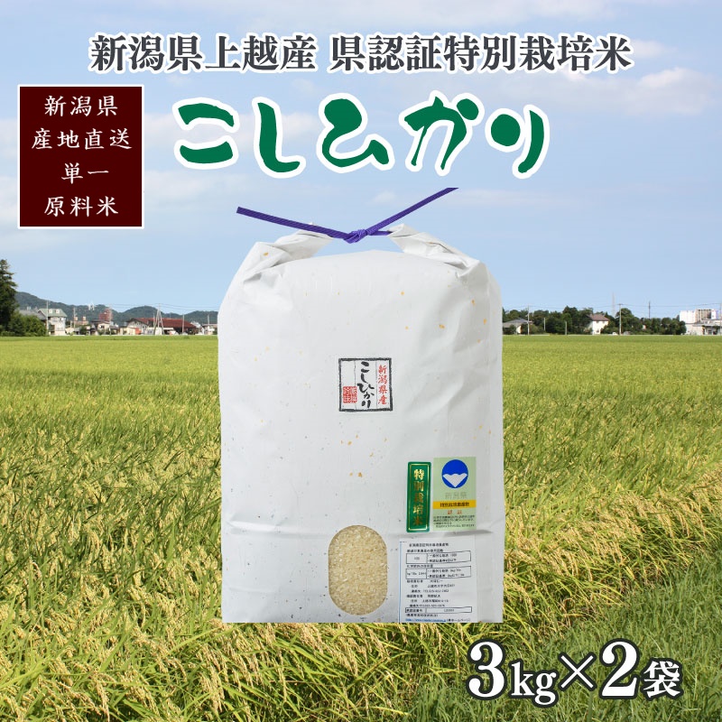 令和5年産／新潟県上越産 人気のお米「新潟県認証特別栽培米コシヒカリ」精米 6kg（3kg×2袋） こしひかり