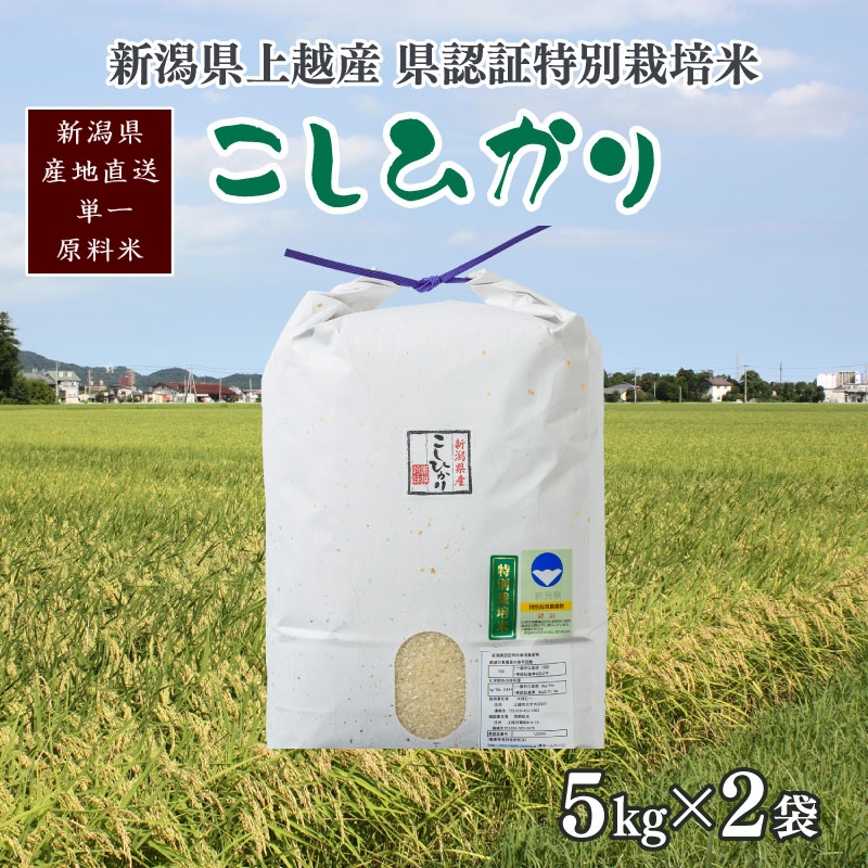 令和5年産／新潟県上越産 人気のお米「新潟県認証特別栽培米コシヒカリ」精米 10kg（5kg×2袋） こしひかり