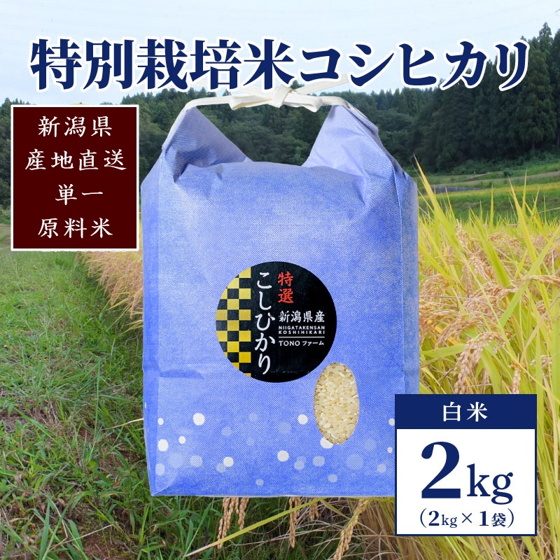 【50セット限定】令和5年産 新潟上越清里産 特別栽培米コシヒカリ2kg(2kg×1袋)白米 こしひかり お米 上越