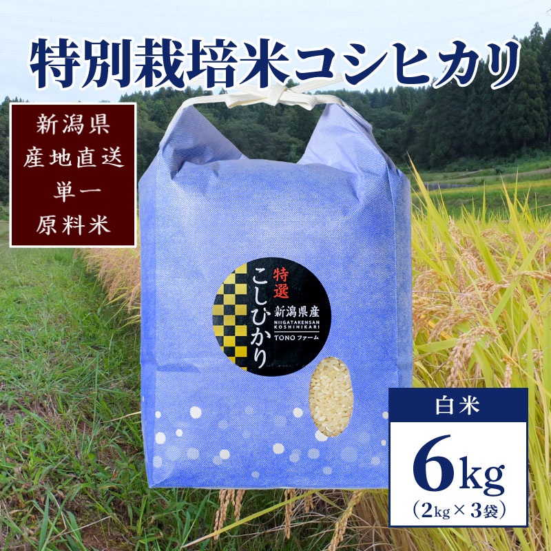 【50セット限定】令和5年産 新潟上越清里産 特別栽培米コシヒカリ6kg(2kg×3袋)白米 こしひかり お米 上越