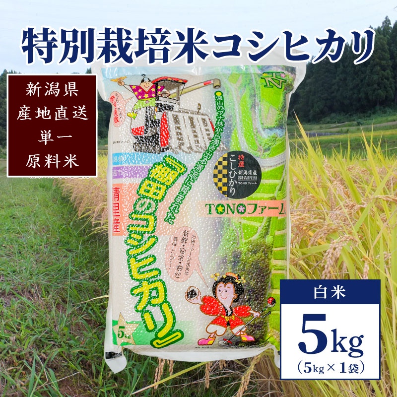 【50セット限定】令和5年産 新潟上越清里産 特別栽培米コシヒカリ5kg(5kg×1袋)白米 こしひかり お米 上越
