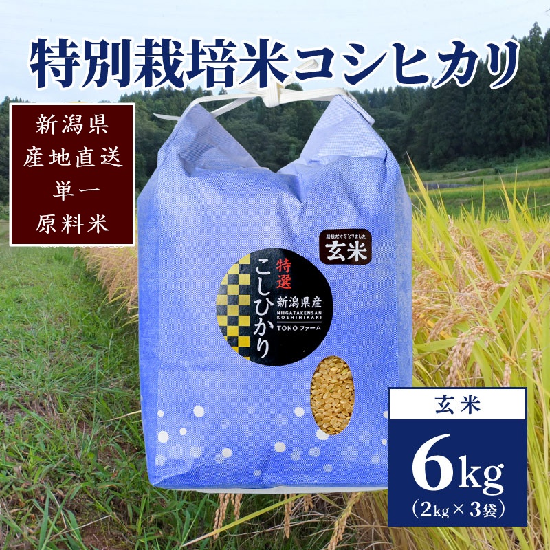【50セット限定】令和5年産 新潟上越清里産 特別栽培米コシヒカリ6kg(2kg×3袋)玄米 こしひかり お米 上越産