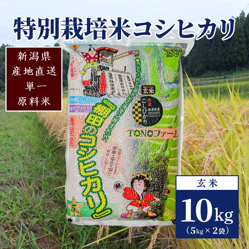 【50セット限定】令和5年産 新潟上越清里産 特別栽培米コシヒカリ10kg(5kg×2袋)玄米 こしひかり 米 上越産