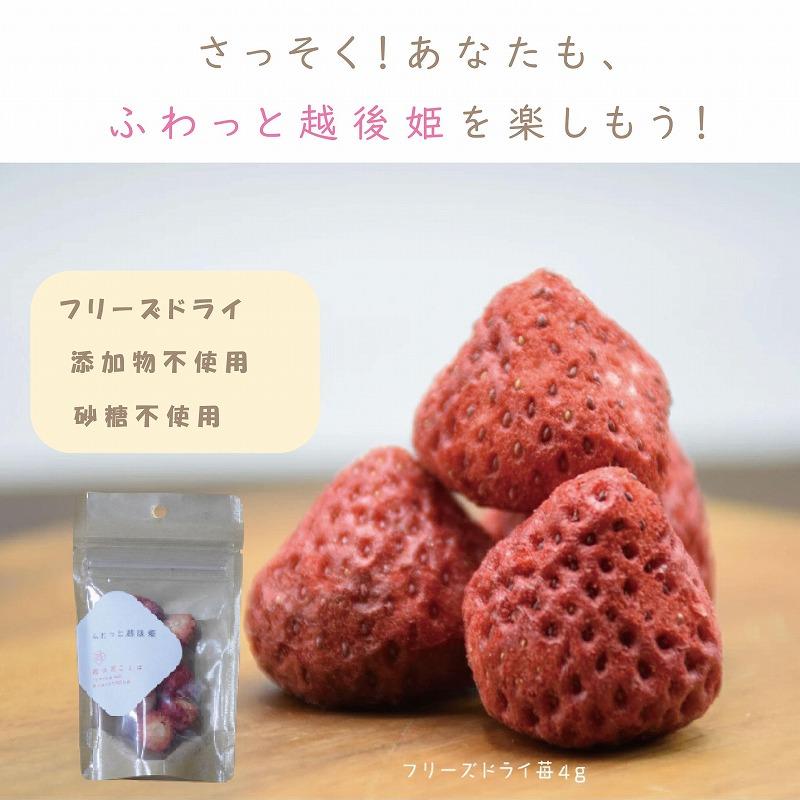 紅茶 ふわっと越後姫とふわっとドライ苺紅茶 各10袋セット 上越市 新潟 茶 苺