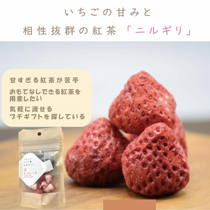 紅茶 ふわっと越後姫とふわっとドライ苺紅茶 各10袋セット 上越市 新潟 茶 苺