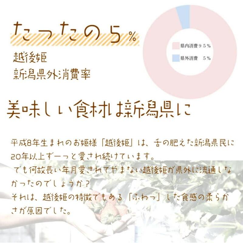 いちご 雪国完熟越後姫桃薫シングル(約380g)ギフト箱入り 食べ比べ セット イチゴ 苺 果物 フルーツ 新潟
