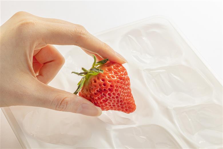 いちご 新潟 雪国完熟越後姫ダブル（約760g）ギフト箱入り イチゴ 苺 フルーツ お取り寄せ 贈り物 上越