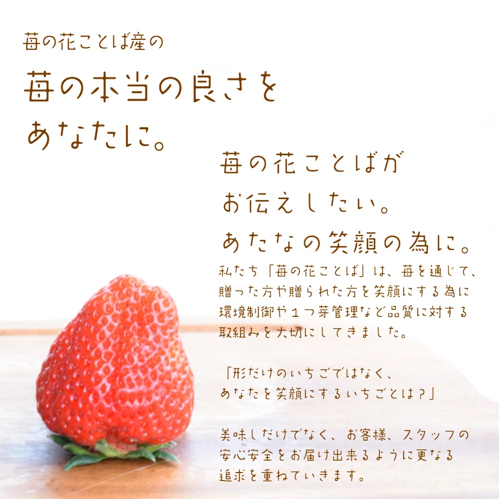 いちご 新潟 雪国完熟越後姫ダブル（約760g）ギフト箱入り イチゴ 苺 フルーツ お取り寄せ 贈り物 上越