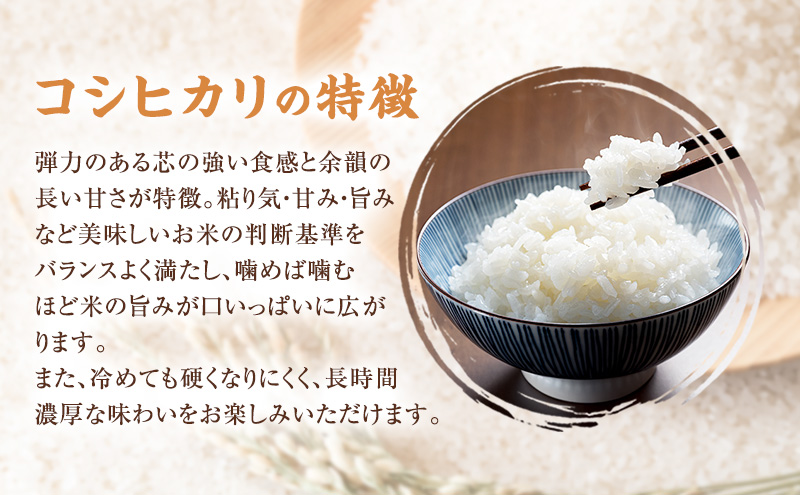 新潟おいしい朝ごはんセットA (越後みそのあおき印つぶ900g1袋と上越三和産こしひかり5kg) 朝ごはん 米