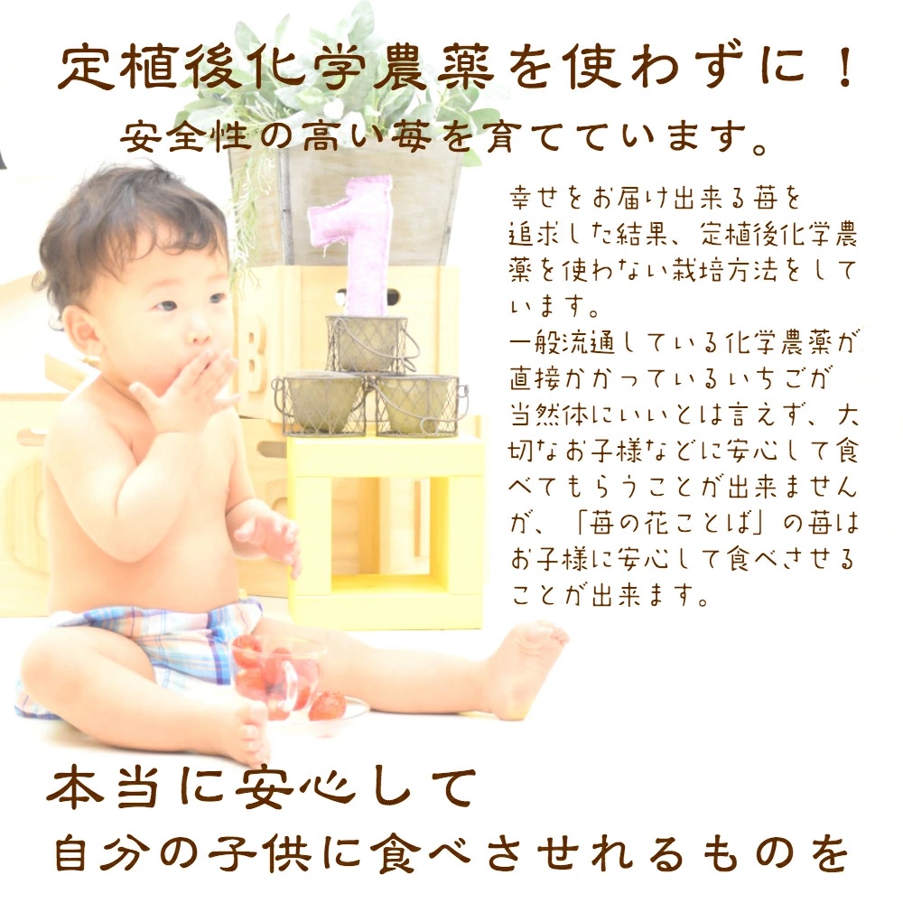 定期便 6回【12～5月発送】いちごの定期配送 雪国完熟いちご越後姫 ダブル（約760g×全6回） 越後姫 いちご