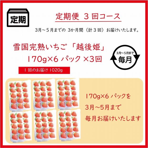 定期便 3回【3～5月発送】雪国完熟いちご越後姫 170g×6全3回 定期配送 越後姫 いちご 定期便 完熟 苺 新潟