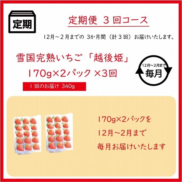 定期便 3回【12～2月発送】いちごの定期配送 雪国完熟いちご越後姫170g×2全3回 越後姫 いちご 定期便 完熟