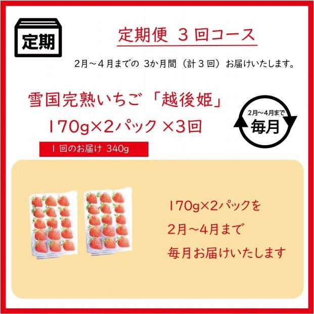 定期便 3回【2～4月発送】雪国完熟いちご越後姫 170g×2全3回 定期配送 越後姫 いちご 定期便 完熟 苺 新潟