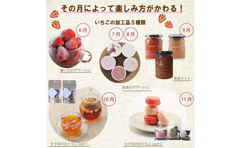 定期便 12回【1～12月発送】いちごづくし定期配送 苺 いちご 冷凍いちご いちごアイス シャーベット ジャム