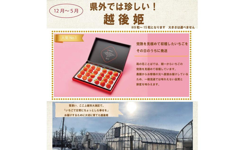 定期便 12回【1～12月発送】いちごづくし定期配送 苺 いちご 冷凍いちご いちごアイス シャーベット ジャム