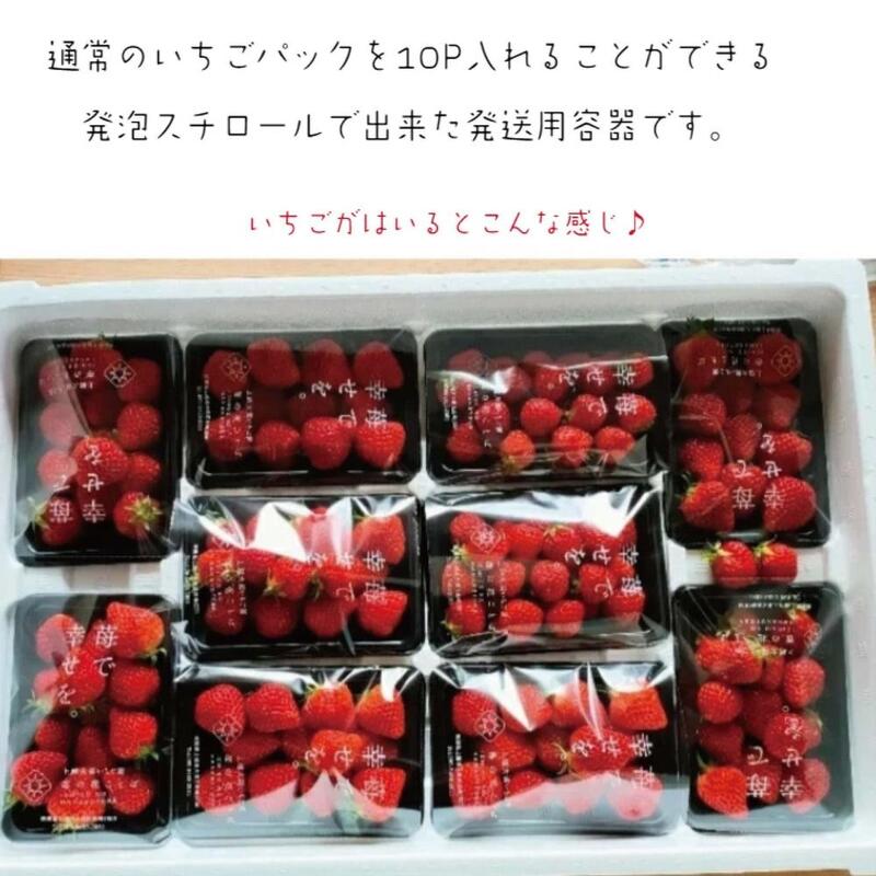 定期便 2回【5～6月発送】訳あり越後姫 約200g×10定期配送 越後姫 えちごひめ 苺 いちご 訳あり 新潟
