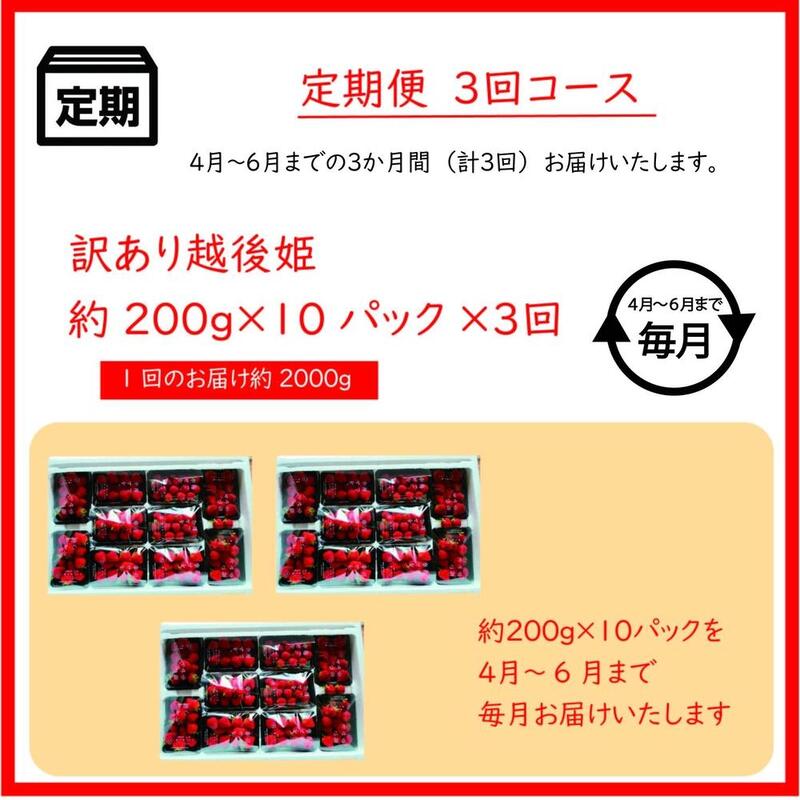 定期便 3回【4～6月発送】訳あり越後姫 約200g×10定期配送 越後姫 えちごひめ 苺 いちご 訳あり 新潟