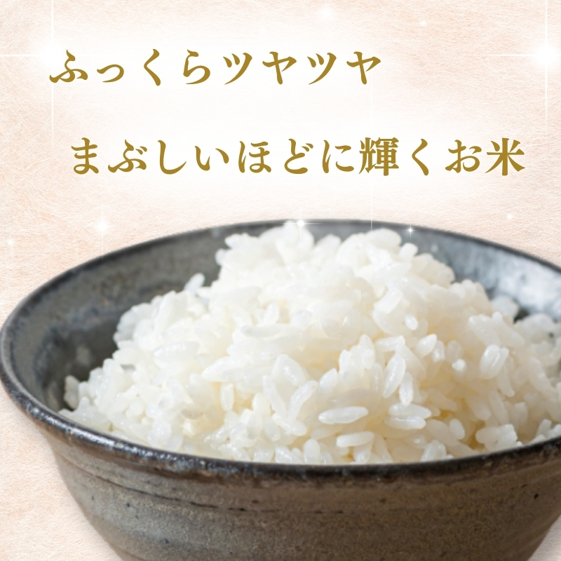 【2月上旬より配送】上越市産 新潟 新之助 2kg 6か月定期便 しんのすけ お米 精米 米 ご飯 定期