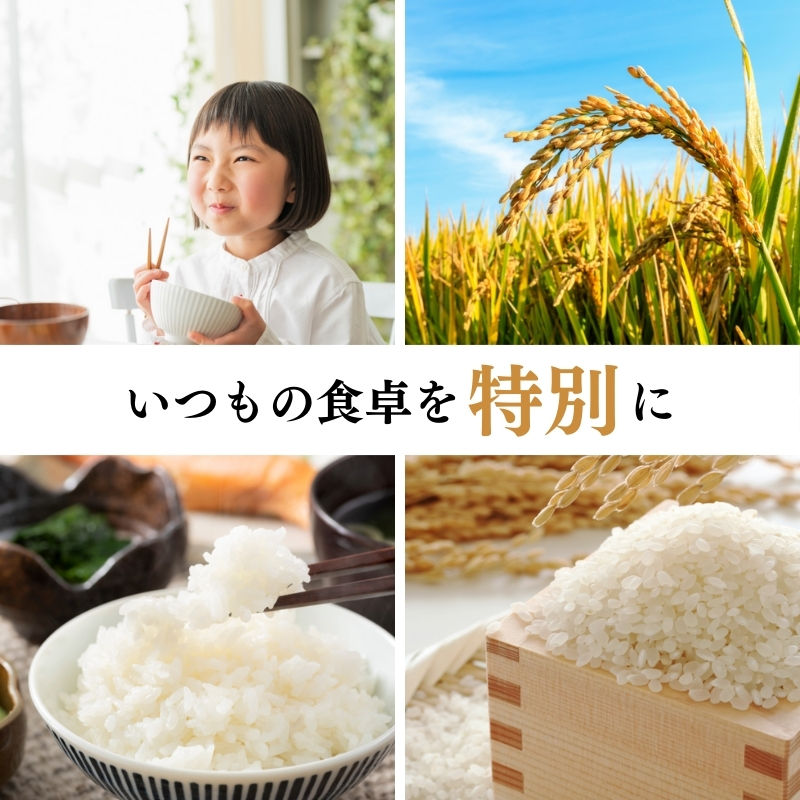 【2月中旬配送】上越市産 新潟 コシヒカリ 5kg こしひかり お米 精米 米 ご飯