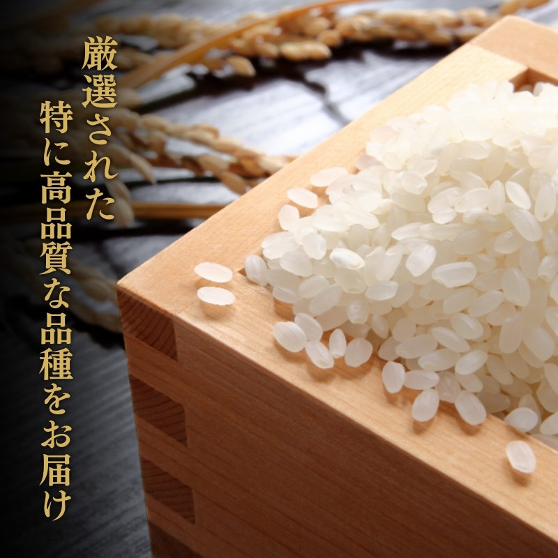 【2月下旬配送】上越市産 新潟 コシヒカリ 5kg こしひかり お米 精米 米 ご飯